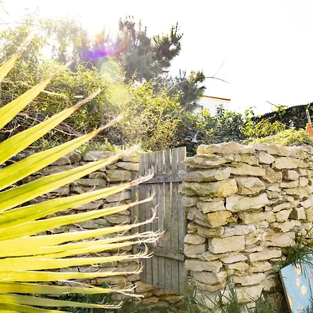 Bed & Breakfast Santa Cruz Surf House By Stoke Travel A dos Cunhados