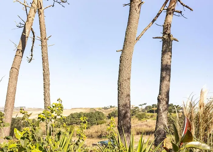 Bed & Breakfast Santa Cruz Surf House By Stoke Travel *