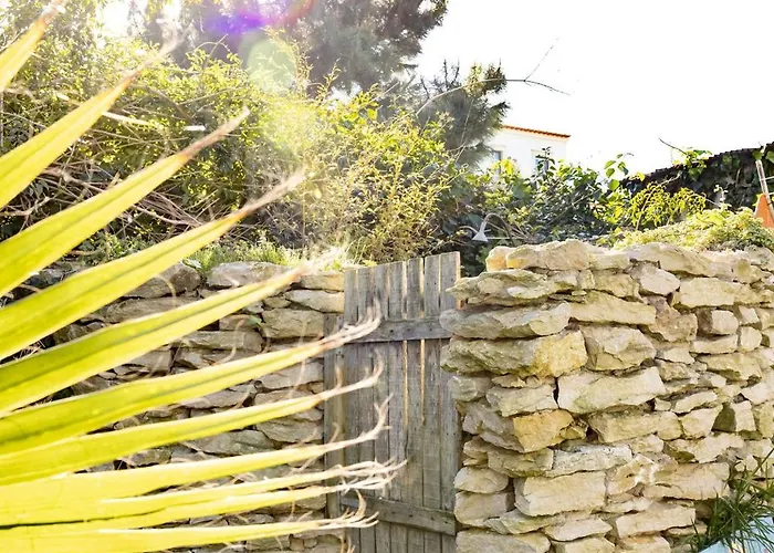 Bed & Breakfast Santa Cruz Surf House By Stoke Travel A dos Cunhados
