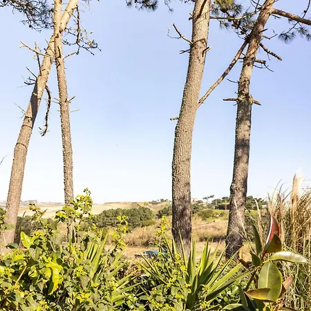 Bed and breakfast Santa Cruz Surf House By Stoke Travel *
