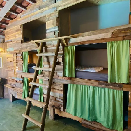 Santa Cruz Surf House By Stoke Travel Bed & Breakfast *